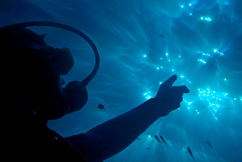 Rf-curious-diver-man-pointing-sunbeams-underwater-uw698