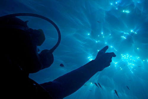 Rf-curious-diver-man-pointing-sunbeams-underwater-uw698