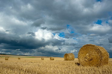 Rf-bales-farf-field-france-harvested-hay-bales-fra739