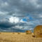Rf-bales-farf-field-france-harvested-hay-bales-fra739
