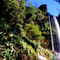 Rm-cascades-fresh-mexico-plants-pure-waterfall-mex468