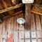 Rf-arcachon-bay-ceiling-hut-light-run-down-shed-lan0527