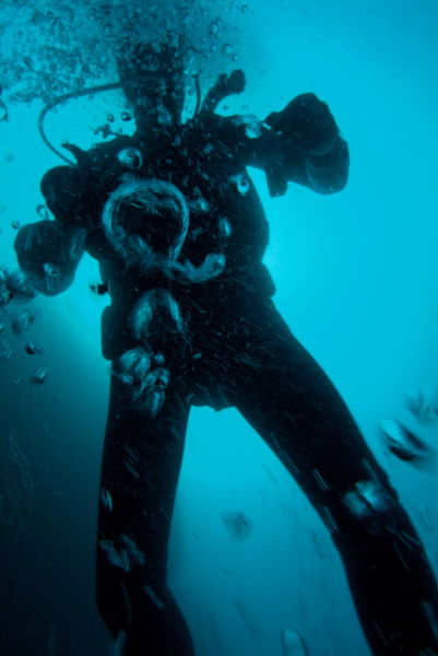 Rf-adventure-bubbles-diver-scuba-diving-sea-uw724