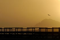 Wooden Bridge and Ocean at sunset - Hermanus von Sami Sarkis Photography