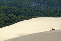 Tourists sitting over the Great Dune of Pyla with the Landes forest visible in the background by Sami Sarkis Photography