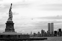 Tourists visiting the Statue of Liberty by Sami Sarkis Photography