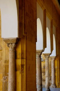 Arches of the Patio de los Naranjos in the Cathedral of Cordoba von Sami Sarkis Photography