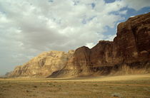Sparse tussock and rock formations in the Wadi Rum desert by Sami Sarkis Photography