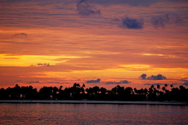 Rf-beauty-idyllic-island-maldives-palms-silhouette-mld0030