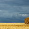 Rm-bale-farm-field-france-harvested-hay-bale-fra725