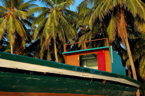 Rf-boat-colorful-fishing-maldives-palms-tropical-mld0231