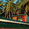Rf-boat-colorful-fishing-maldives-palms-tropical-mld0231