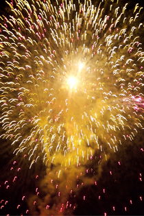 Fireworks light up the sky while celebrating Bastille Day by Sami Sarkis Photography