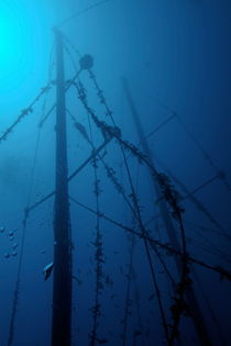 Fish swimming around the mast of the Le Voilier shipwreck underwater by Sami Sarkis Photography