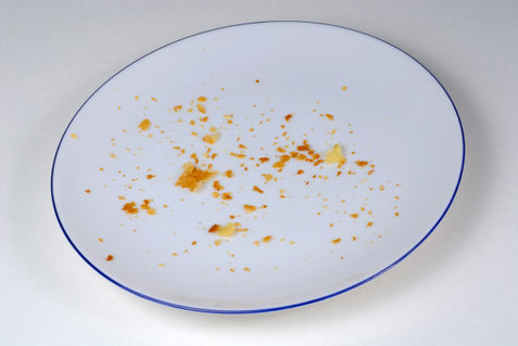 Rf-crumbs-empty-pie-crumbs-plate-cpt0027