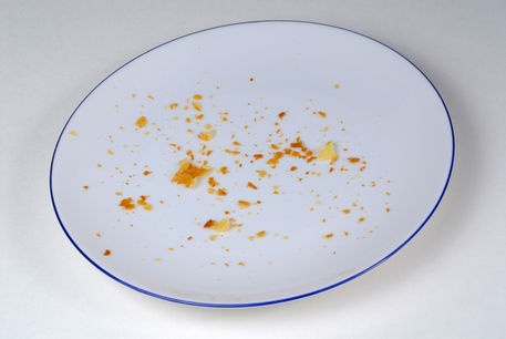 Rf-crumbs-empty-pie-crumbs-plate-cpt0027