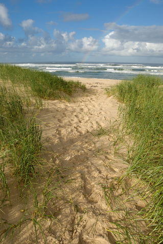 Path-beach-ocean-alrf-saa-fna6779