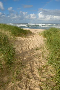Path on beach leading to Ocean  von Sami Sarkis Photography