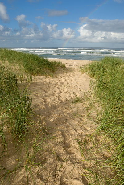 Path-beach-ocean-alrf-saa-fna6779