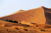 The Great Merzouga Dune by Sami Sarkis Photography