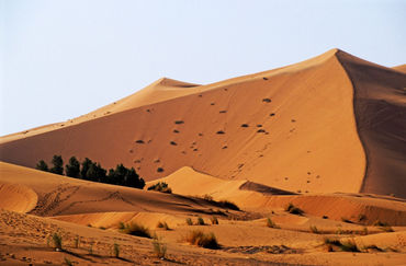 Rm-desert-morocco-the-great-merzouga-dune-mrc070