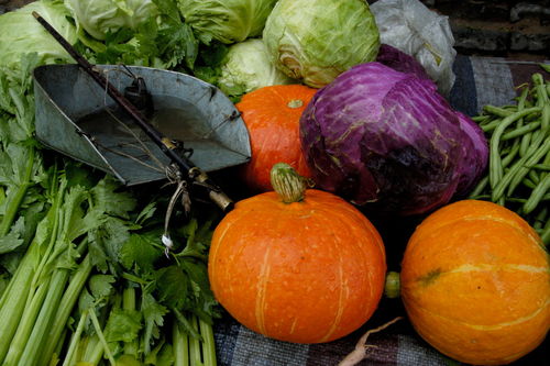 Rf-fresh-market-pumpkins-veges-weight-scales-chn0717