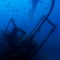Rm-dalton-shipwreck-diving-fish-underwater-uw220