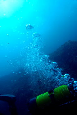 Rf-bubbles-discovery-diver-scuba-diving-sea-uw334
