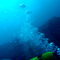 Rf-bubbles-discovery-diver-scuba-diving-sea-uw334
