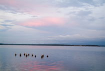 Rippled waters of Cienfuegos Bay at sunset from Punta Gorda von Sami Sarkis Photography