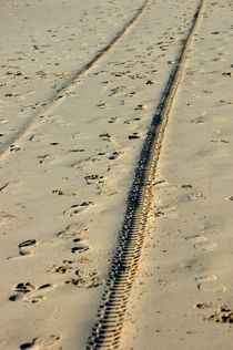 Footprints and tyre tracks in the sand. by Sami Sarkis Photography