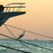 Rf-bird-bow-red-sea-ship-sunrise-egy209