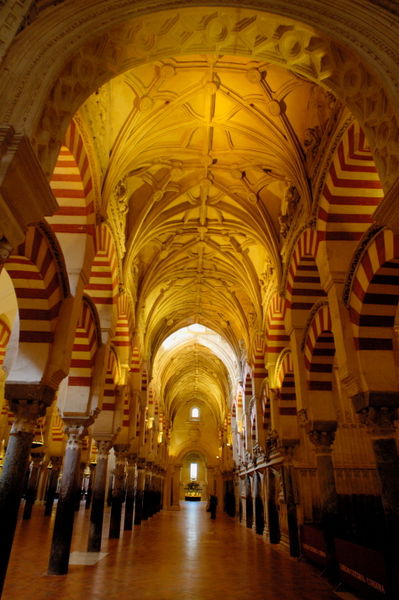 Rm-cathedral-ceiling-cordoba-mezquita-pillars-adl0591