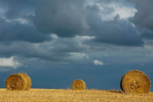 Rf-bales-farf-field-france-harvested-hay-bales-fra743