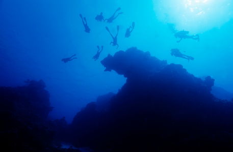 Rm-divers-exploring-reef-silhouette-underwater-mexuw107
