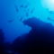 Rm-divers-exploring-reef-silhouette-underwater-mexuw107