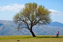 Little girl walking past a tree in springtime in the Alpujarras mountains by Sami Sarkis Photography