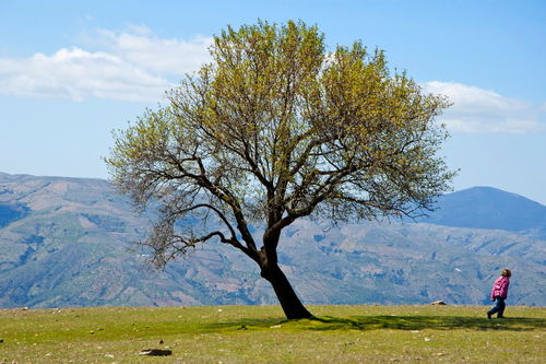 Rf-alpujarra-girl-mountains-rural-tree-walking-adl0803