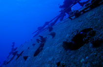 The Belama Shipwreck Porthole by Sami Sarkis Photography