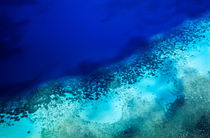 Coral reef seen through clear waters surrounding Mosso Island von Sami Sarkis Photography