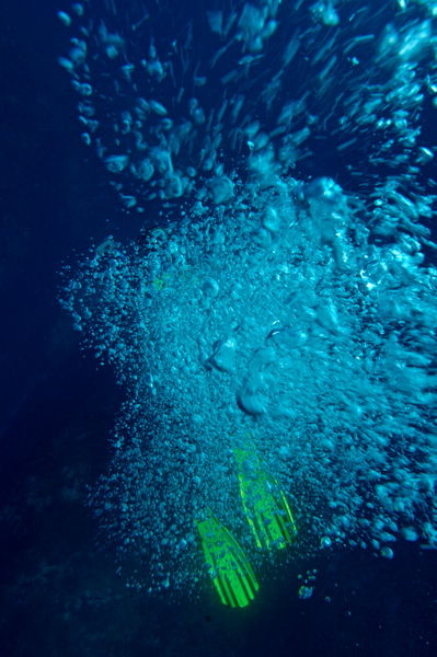 Rf-bubbles-diver-marseille-swimfins-underwater-uw357