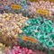 Rf-candy-confectionary-lollipops-shop-unhealthy-var245