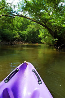 Purple canoe on the Eyre river von Sami Sarkis Photography