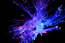 Red and blue light from fiber optic von Sami Sarkis Photography