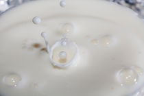 Milk splash by Graham Prentice