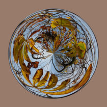 Autumn tree in the globe von Robert Gipson