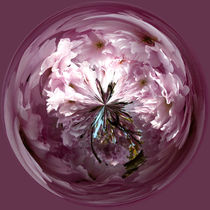 Cherry blossom globe by Robert Gipson