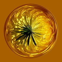 Flower in the sphere by Robert Gipson
