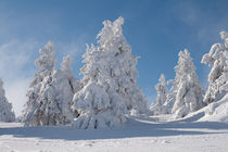 Winterlandschaft von Andreas Levi