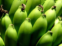 Green Bananas von serenityphotography